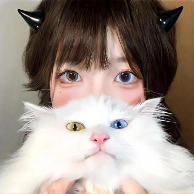 红衣主教
