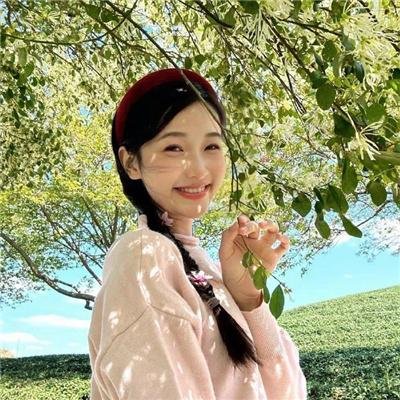 龙之家族